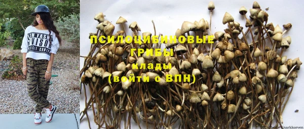 амфетамин Богданович
