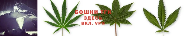 ГАЛЛЮЦИНОГЕННЫЕ ГРИБЫ Богородск